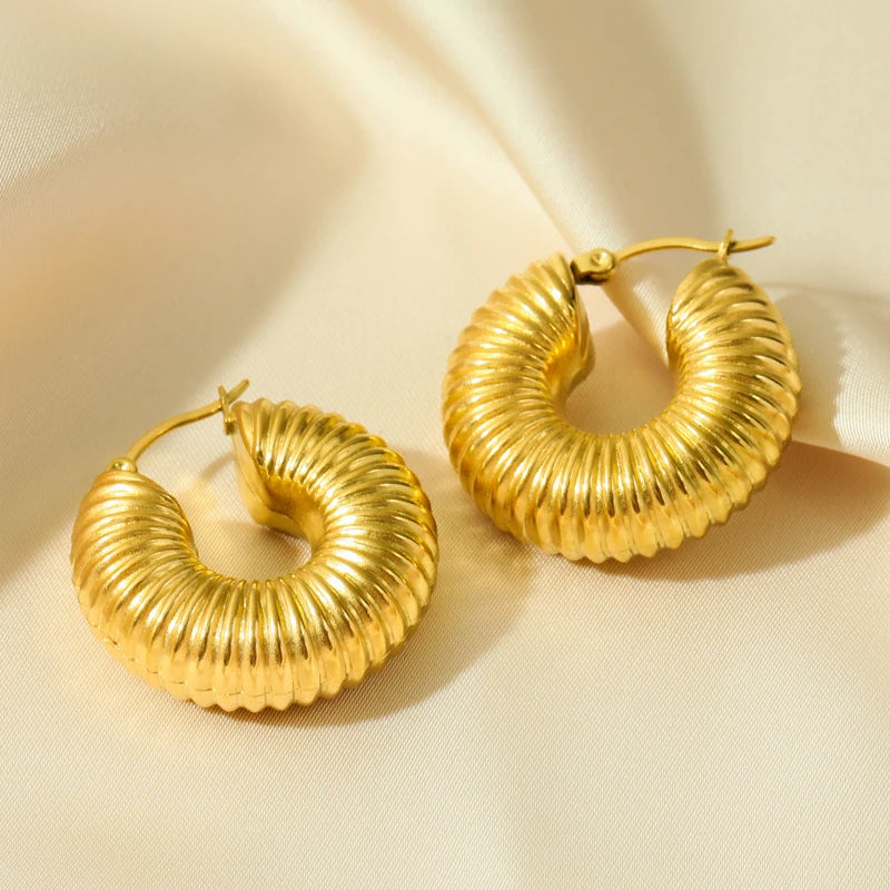 Twisted Hoop Earrings